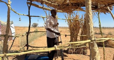 'They beat us with whips': Sudan RSF detainees tell of horrors in El-Fasher