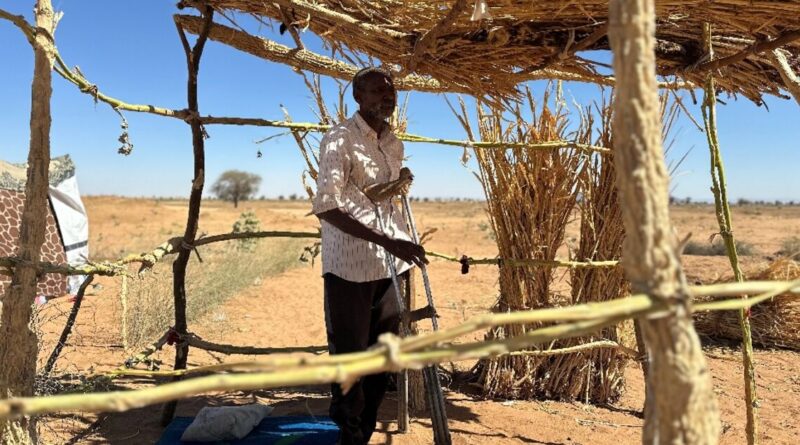 'They beat us with whips': Sudan RSF detainees tell of horrors in El-Fasher