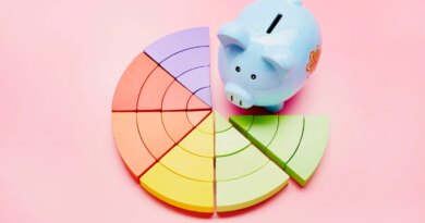 High angle view of a piggy bank and colorful pie chart on pink background; cash flow analysis