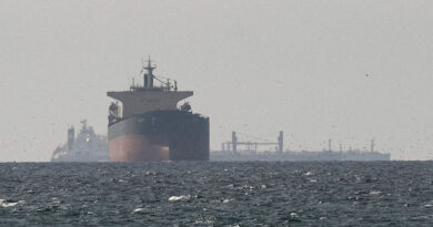 Analysis-Western powers were unable to secure shipping in the Red Sea. Hormuz will be harder