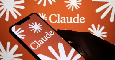 Anthropic's lawyer says government is 'pressuring' companies to ditch the AI startup, go to competitors