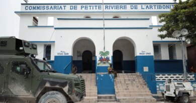 At least 70 killed, 30 wounded in Haiti gang attack, rights group says