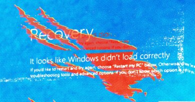 Blue Screen of Death (BSOD) and Crowstrike logo (Image Credits: Bryce Durbin / TechCrunch)