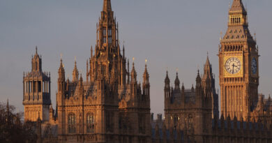 Companies face having to declare individuals behind UK political donations