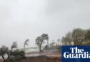 Cyclone Narelle downgraded to tropical low but severe weather warnings remain for storm-ravaged WA

