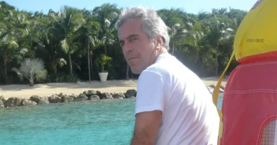 Diamonds and hard drives from Jeffrey Epstein's safe went missing for 5 days. Now we know where they went.