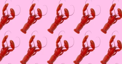 From lobster hats to claw hands: OpenClaw's internet moment