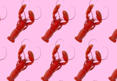 From lobster hats to claw hands: OpenClaw's internet moment