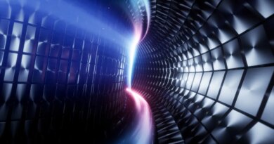 Plasma flows through an illustration of a tokamak fusion reactor.