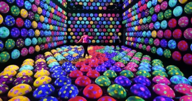 I thought this Tokyo museum would be a major tourist trap. It ended up being a highlight of my first trip to Japan.