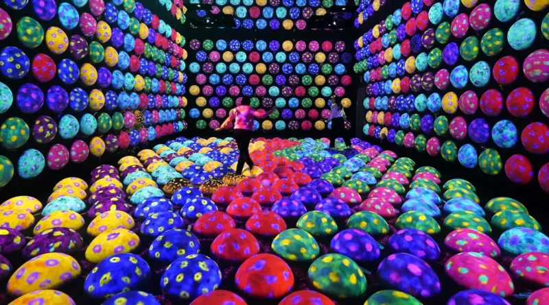 I thought this Tokyo museum would be a major tourist trap. It ended up being a highlight of my first trip to Japan.