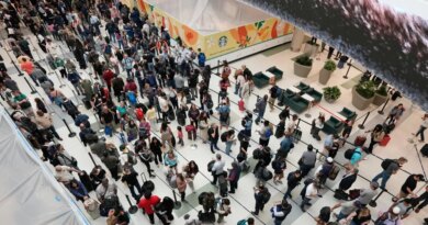 ICE agents called in to help ease airport security lines may not be leaving anytime soon, even after Trump ordered pay for TSA officers | Fortune