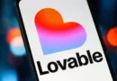 Lovable exec says 'big boys and girls' like OpenAI and Anthropic worry her more than other vibe coding startups