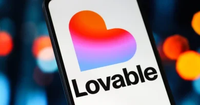 Lovable exec says 'big boys and girls' like OpenAI and Anthropic worry her more than other vibe coding startups