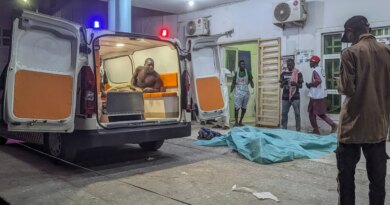 Many killed, wounded after blasts hit Nigeria’s Maiduguri, witnesses say