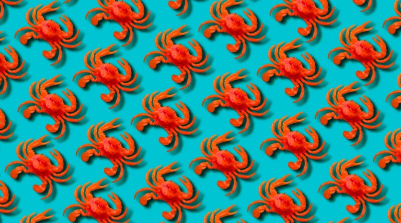 Red toy crab on blue background