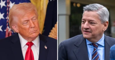 Netflix's Ted Sarandos says he asked Trump not to pursue movie tariffs. Here's what he proposed instead.