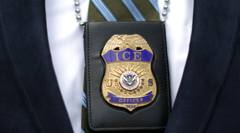 Palestinian protester released from US immigration detention