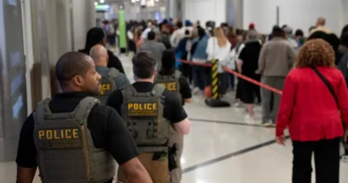 Photos show ICE agents at US airports as TSA staffing shortages disrupt air travel