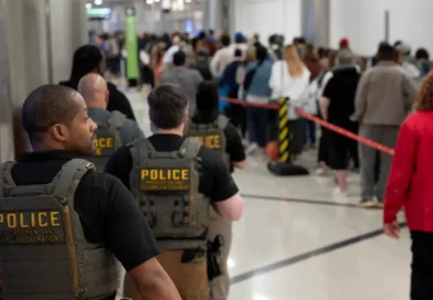 Photos show ICE agents at US airports as TSA staffing shortages disrupt air travel
