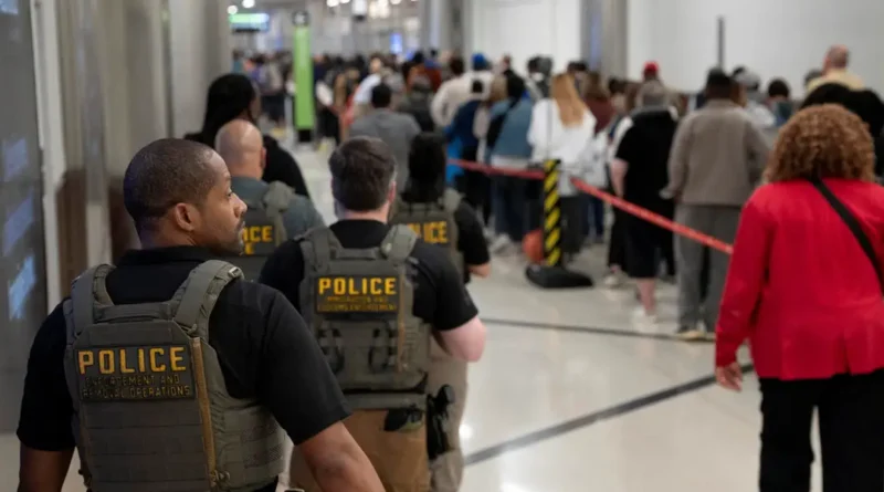 Photos show ICE agents at US airports as TSA staffing shortages disrupt air travel