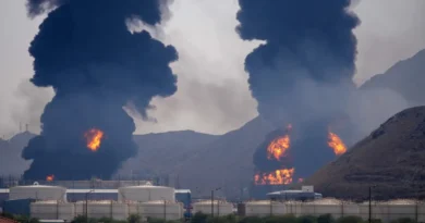 Photos show a major fire at a key UAE oil port, a day after the US struck a major Iranian depot