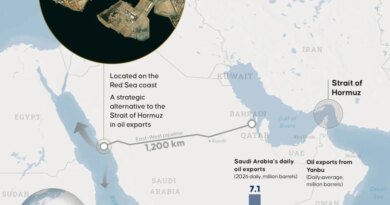 Saudi pipeline to bypass Hormuz hits 7 million barrel goal | Fortune