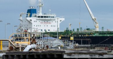 Ship insurers juggle war risks for perilous Gulf route