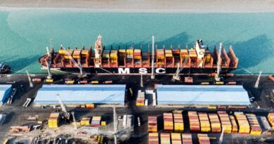 Shipping giant MSC halts Gulf exports amid war risks