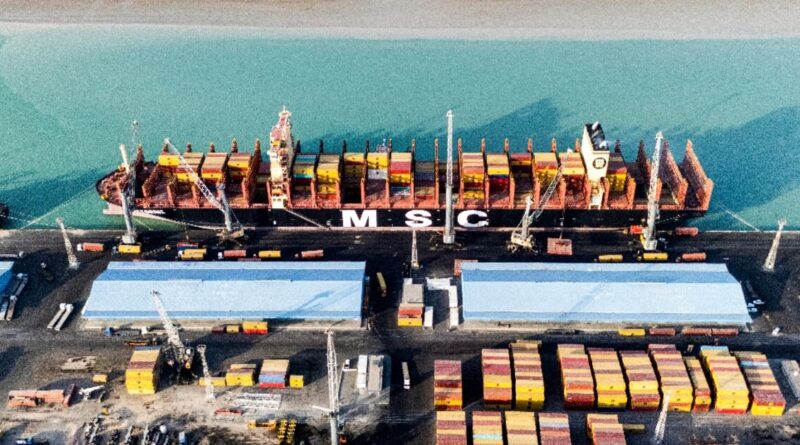 Shipping giant MSC halts Gulf exports amid war risks