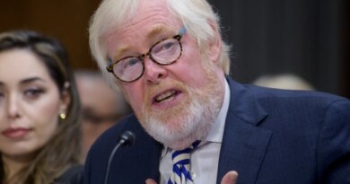 South Africa summons new US ambassador over ‘undiplomatic remarks’