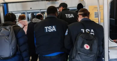 The largest federal workers union says 'untrained, armed' ICE agents should not replace TSA