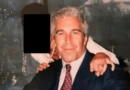 The missing voice in the debate over Jeffrey Epstein's death is found in the Epstein files