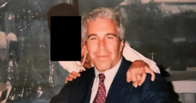 The missing voice in the debate over Jeffrey Epstein's death is found in the Epstein files