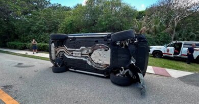 Tiger Woods pleads not guilty to DUI in car crash where opioids found