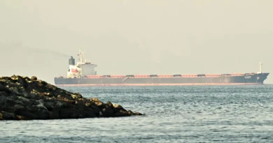 Tons of goods are stuck around the Middle East amid shipping and air chaos