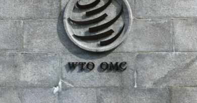Trade ministers meet in Cameroon for critical WTO reform talks amid deep divisions