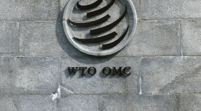 Trade ministers meet in Cameroon for critical WTO reform talks amid deep divisions