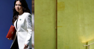 UAE says Iran must halt attacks on neighbours to allow diplomacy