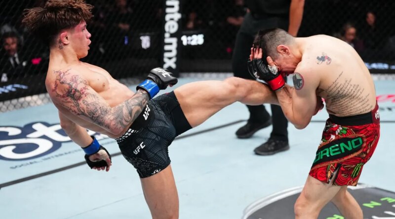 UFC Mexico 2026 Results: Bonus Winners And Highlights