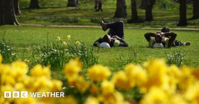 UK weather: Temperatures forecast to reach 20C in warmest day of the year so far