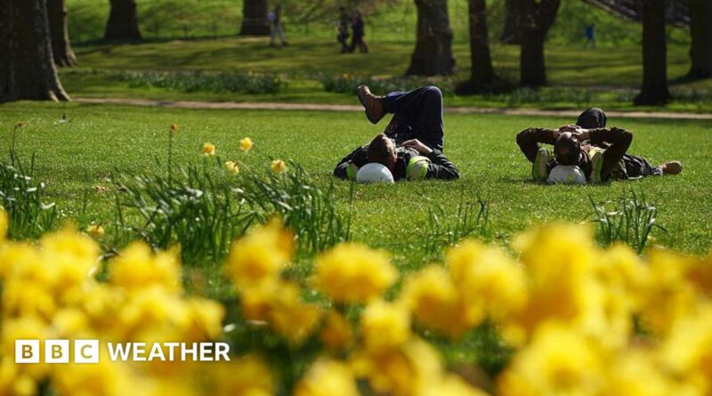 UK weather: Temperatures forecast to reach 20C in warmest day of the year so far