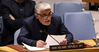 UN Security Council adopts resolution condemning Iran’s attacks in the Gulf