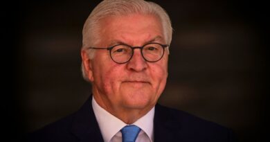 US-Israeli war on Iran is 'breach of international law': German president