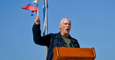 A person in a denim jacket stands at a podium, speaking with an open mouth. They raise a hand holding a small, colorful flag.