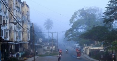 A hazy street scene shows a curved road lined with buildings and large trees. People move on foot, bicycle, and in three-wheeled vehicles, as a rooster walks in the foreground.