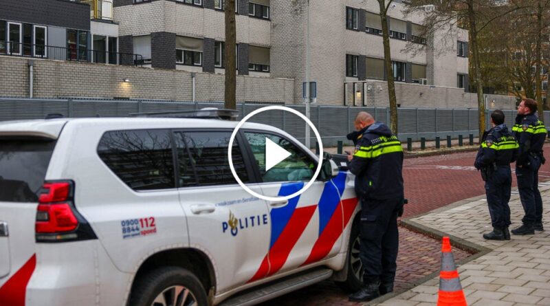 Video: Two Antisemitic Attacks in Two Days in the Netherlands Shake Residents