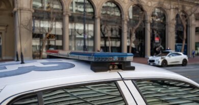 Who’s driving Waymo’s self-driving cars? Sometimes, the police. | TechCrunch