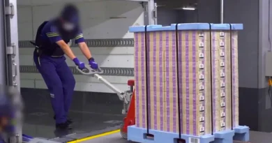 Why one of Asia's poorest countries grows Japan's cash