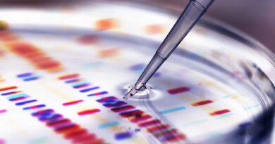 Pipette adding sample to petri dish with DNA profiles in background